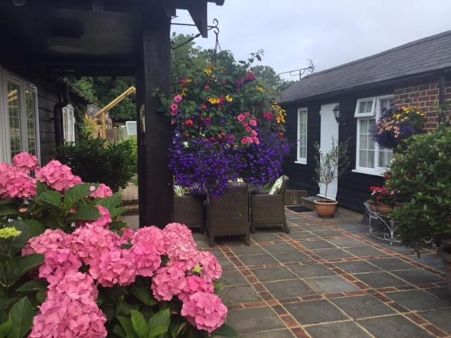 The Coach House Bed & Breakfast Rudgwick Luaran gambar